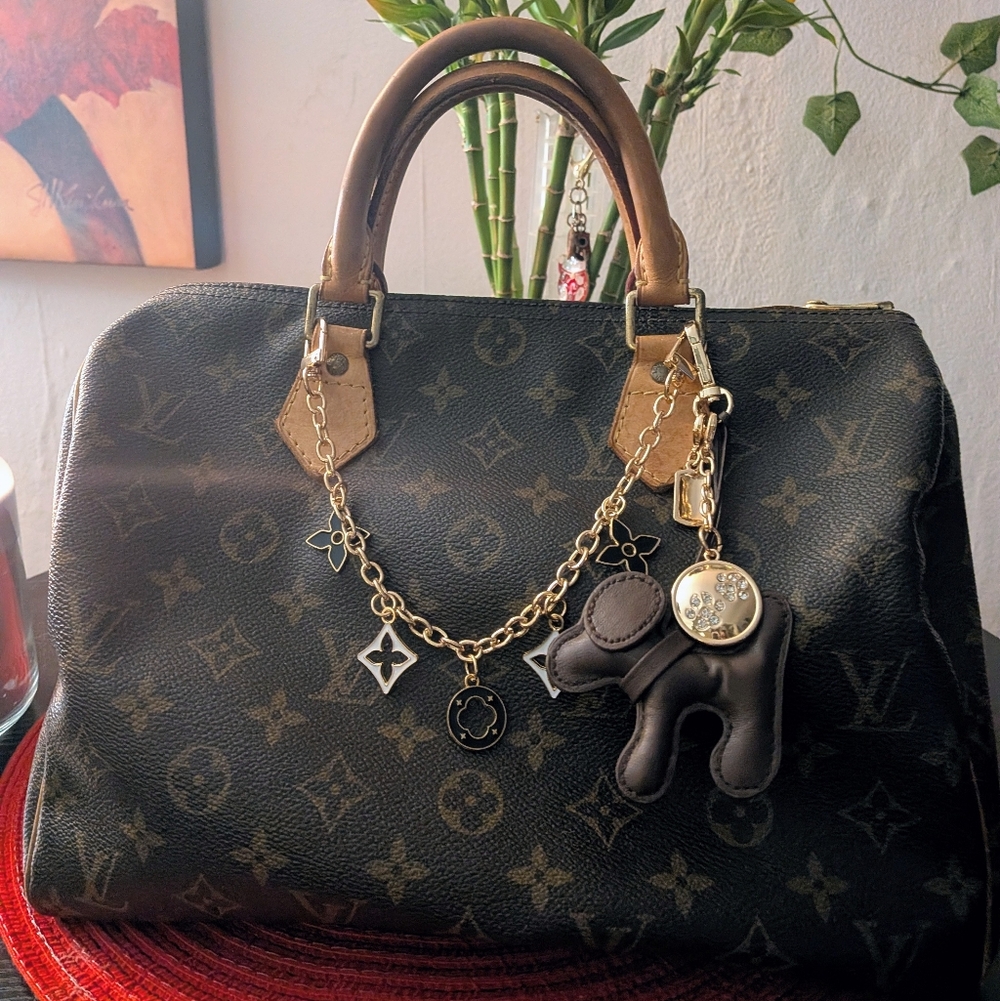 ❌SOLD❌ Louis Vuitton Monogram Speedy 30 - GUC
